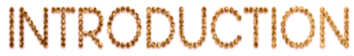 Introduction
